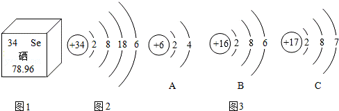 硒的營養(yǎng)學(xué)價(jià)值