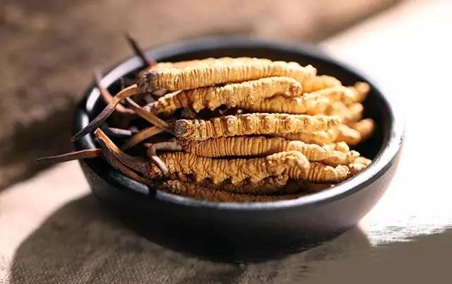 冬蟲(chóng)夏草為什么得到很多人的認(rèn)可？