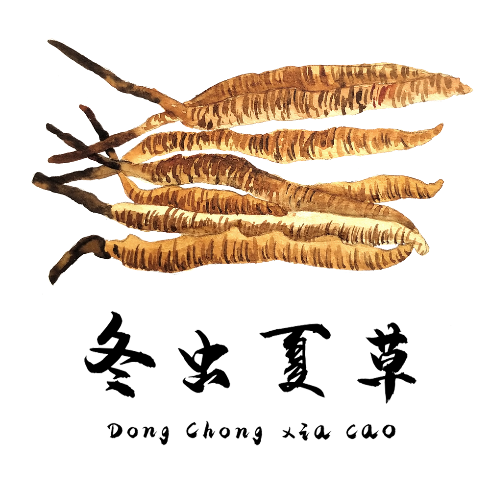 對(duì)于食道癌，冬蟲(chóng)夏草有一定的改善作用