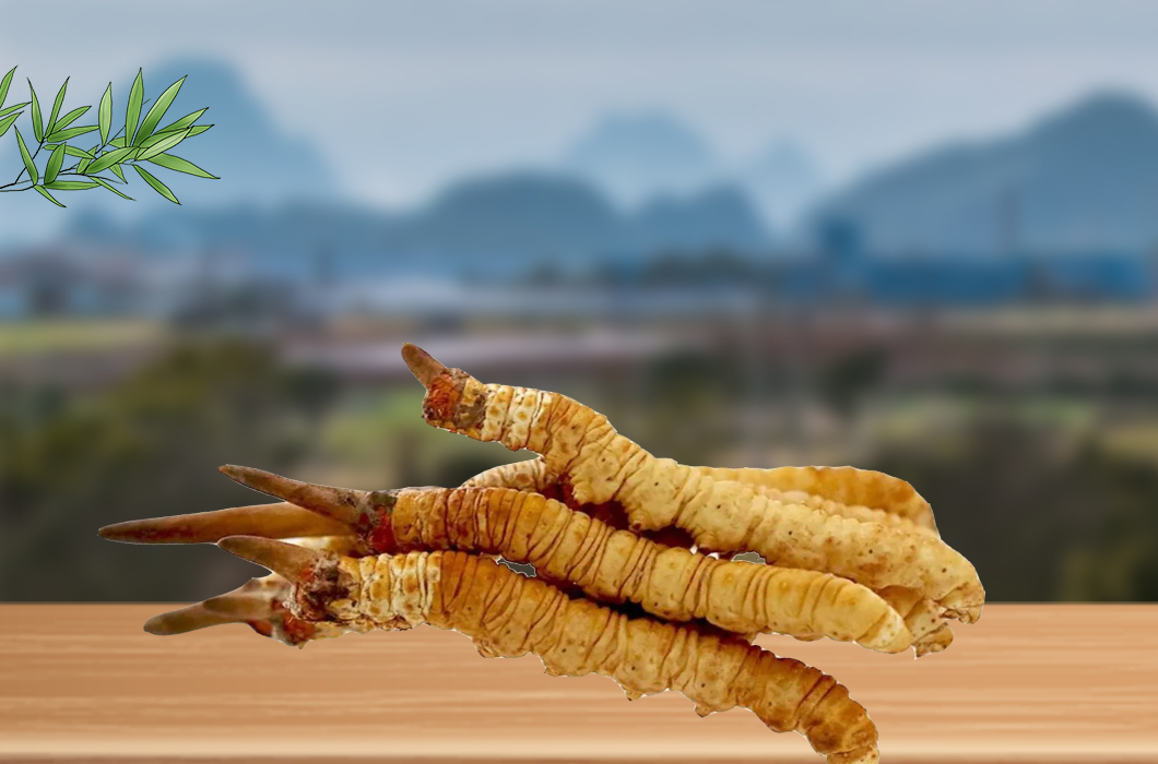 冬蟲夏草和腎病還有什么關(guān)系嗎？