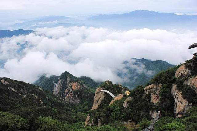 大別山的靈芝孢子粉為什么好？