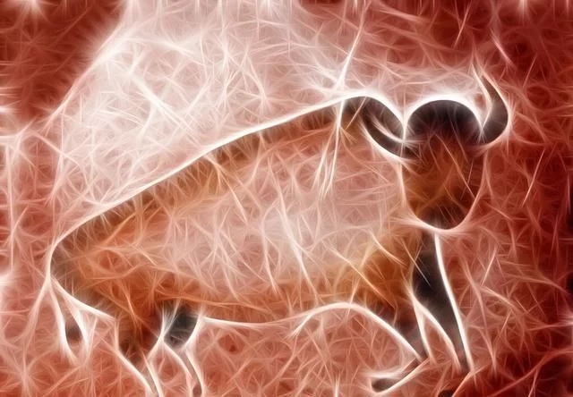 ?；撬岬降讓?duì)人體神經(jīng)系統(tǒng)有什么好處？